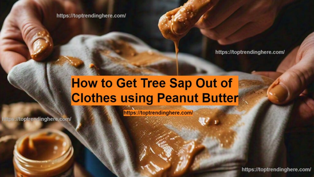 How to Get Tree Sap Out of Clothes
using Peanut Butter