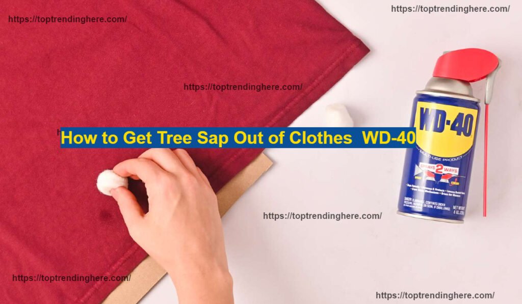 How to Get Tree Sap Out of Clothes using WD-40